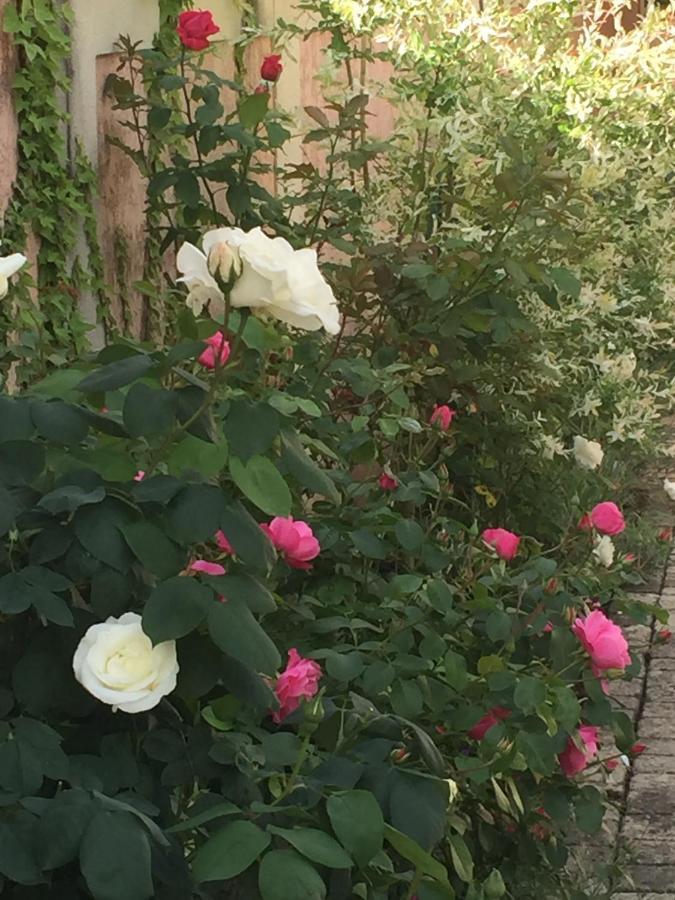 지베르니 Rose Garden Mezzanine B&B 외부 사진
